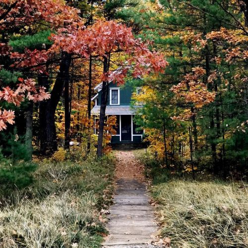 thefreshexchangeblog: I kept wishing today that fall would stick around forever and then I realized 