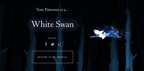 This is so magical to me since I imagined my Patronus being a Swan for a long time.Unsure why. I&r