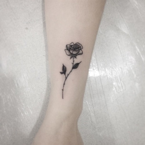 ||#dotwork #flowertattoo #rosetattoo #blackwork #blackworkbrasil #blackworkerssubmission #inkstinct 