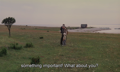 timotaychalamet:The Sacrifice (1986) dir. Andrei Tarkovsky