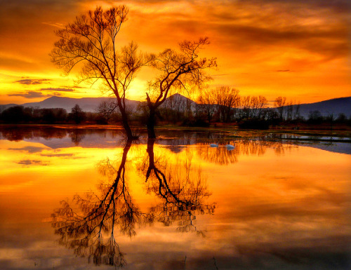 djferreira224:Ried, Alsace, France by Jean-Michel Priaux