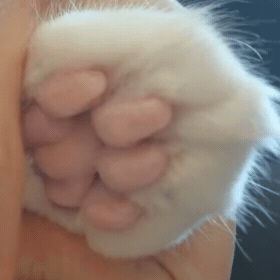 LOOK AT THESE BEANS!! We Will Get Through This.🫂