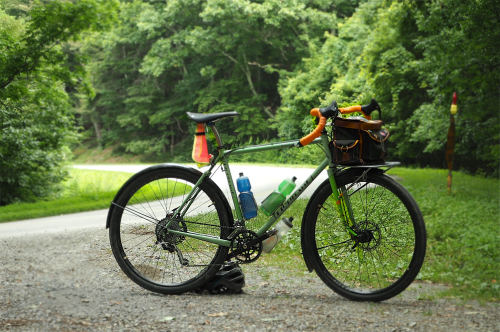 kinkicycle:  Elephant NFE corner of Blue Ridge Parkway and State Route 686. Rockbridge Co., VA. by C