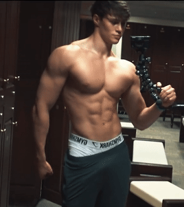 Shredded Gifs