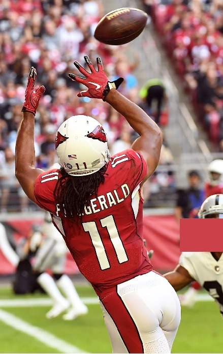 Porn photo lamarworld1:(PART 1) Larry Fitzgerald booty