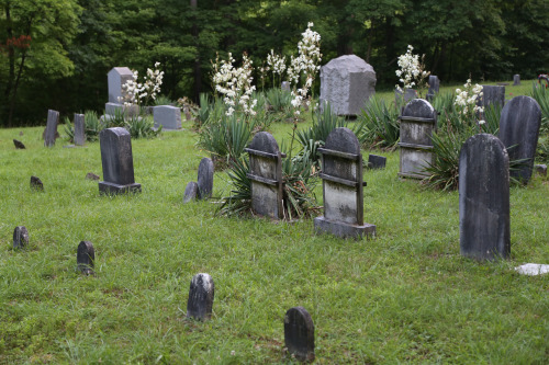 vandaliatraveler:Historic cemetery at Prickett’s Fort State Park.