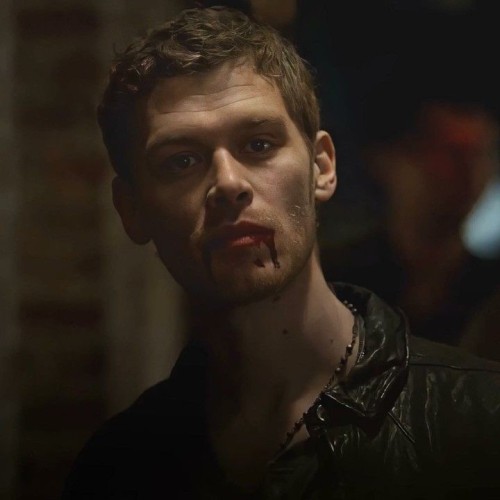 I Want To See Fanfics Of Klaus Mikaelson With Wolf Anatomy I Would Sell My Soul To See A Fanfic Like