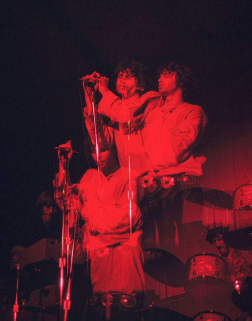 savetheflower-1967:  Jim Morrison / The Doors - photo by David Burnett - 1968.