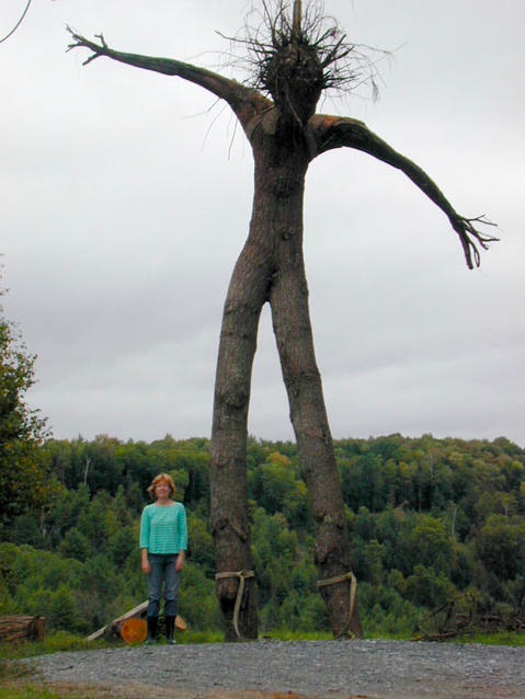 venetiancarnival:Pine Tree Figure (2006) and Giant (2012), two tree figures by Joseph Wheelwright