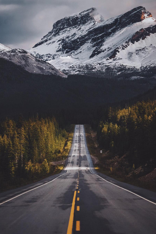 banshy: Untitled by: Jason Reynolds