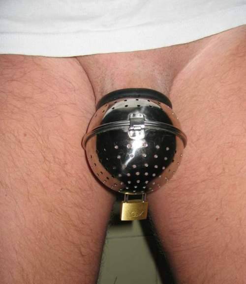 gaboymaster:  Chastity fags should have no access to their pathetic cocks.  The