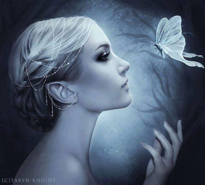 Forbidden Beauty