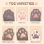 dailytoe-beans