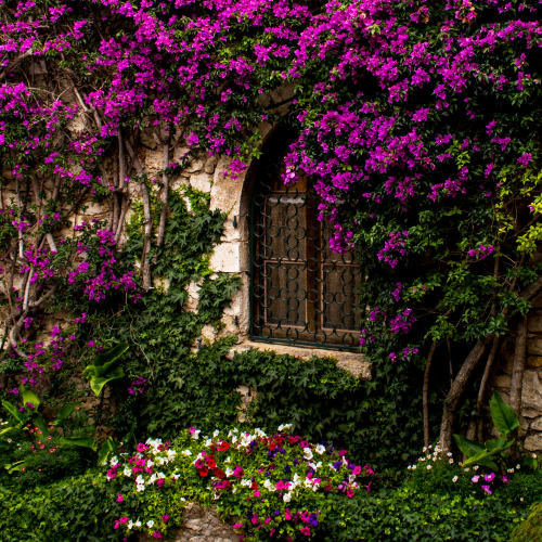 Èze, France ~ Adam Foy 