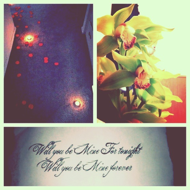 So yesterday,  I walk in to my house and there&rsquo;s a trail of rose petals