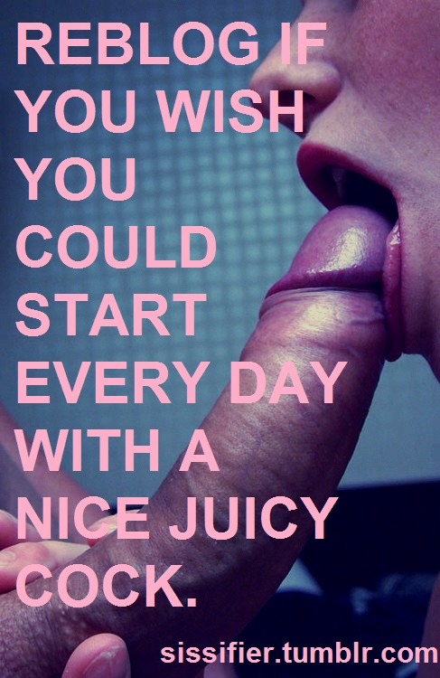 prettylittlesissies: Related Content:Source: (Best TG Captions)