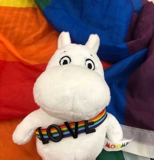 Had A Pride Themed Photo Shoot With My Moomin Stuffys!
