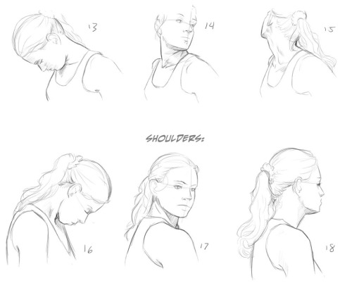 Porn photo helpyoudraw: Neck Reference Updated by MelissaDalton from