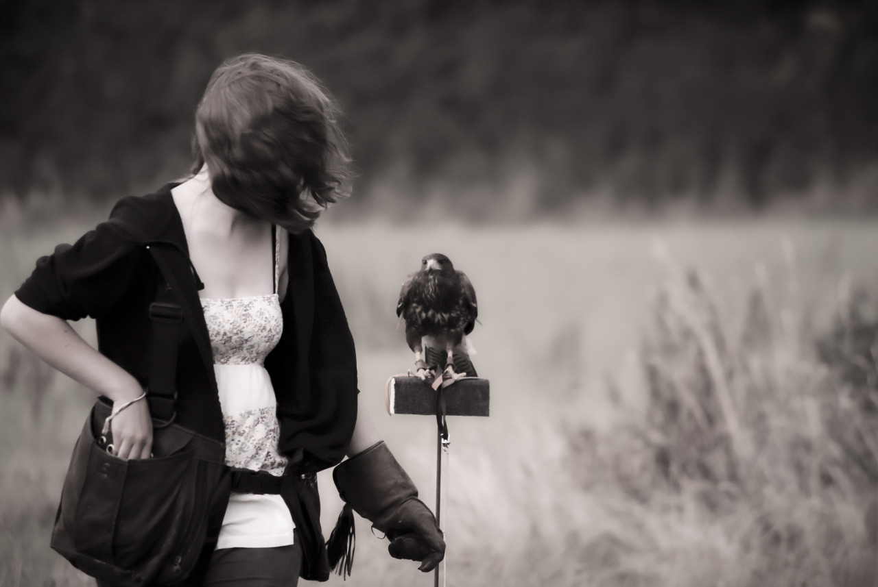 solohawk:  Solo, B&amp;W 1 Some of my favourite photos I took of Solie, that