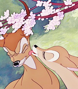hakuna-tomato: Bambi (1942) 