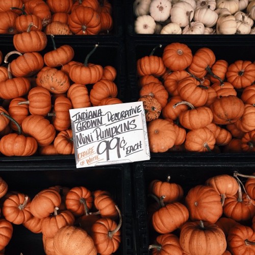 ohhellokelsey:  Indiana grown. (at The Famous Tomato)