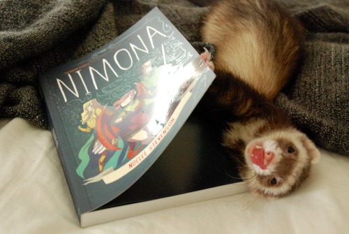 the-book-ferret:gingerhaze I feel like Nimona would have made a great little mischievous ferret!