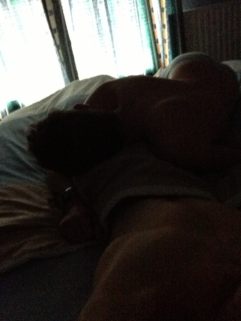 vraul:  He’s sleeping on me aw