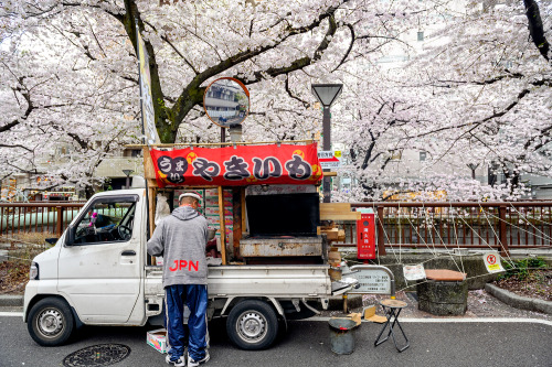 Cherry blossoms along the Meguro River in Tokyo&rsquo;s Nakameguro neighborhood today. They stil