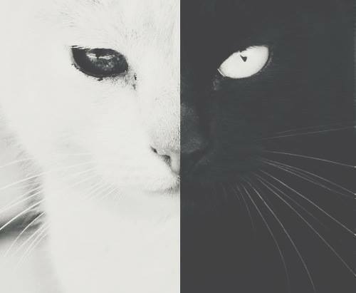 where-the-beauty-of-life-begins:  Untitled unter We Heart It.