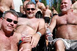 Bears, daddy, handsome older man, mature