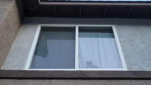 Day & night… night & day… second floor neighbor cat always has two eyes on me,