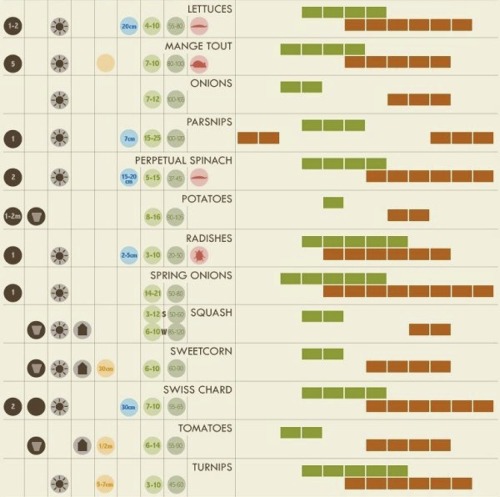 planting and growing