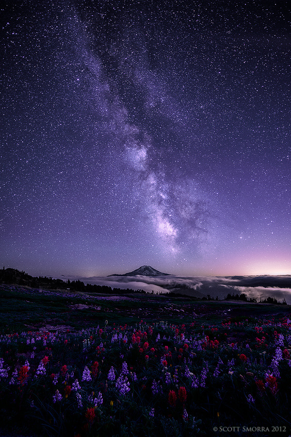 wxlve:  Celestial Existence | by Scott Smorra