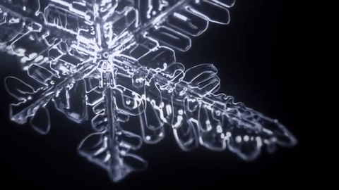 nubbsgalore:snowflake crystallization microscopy (x)