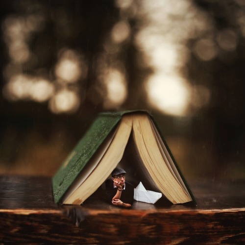 fer1972:  The Amazing Photomanipulations of Joel Robison