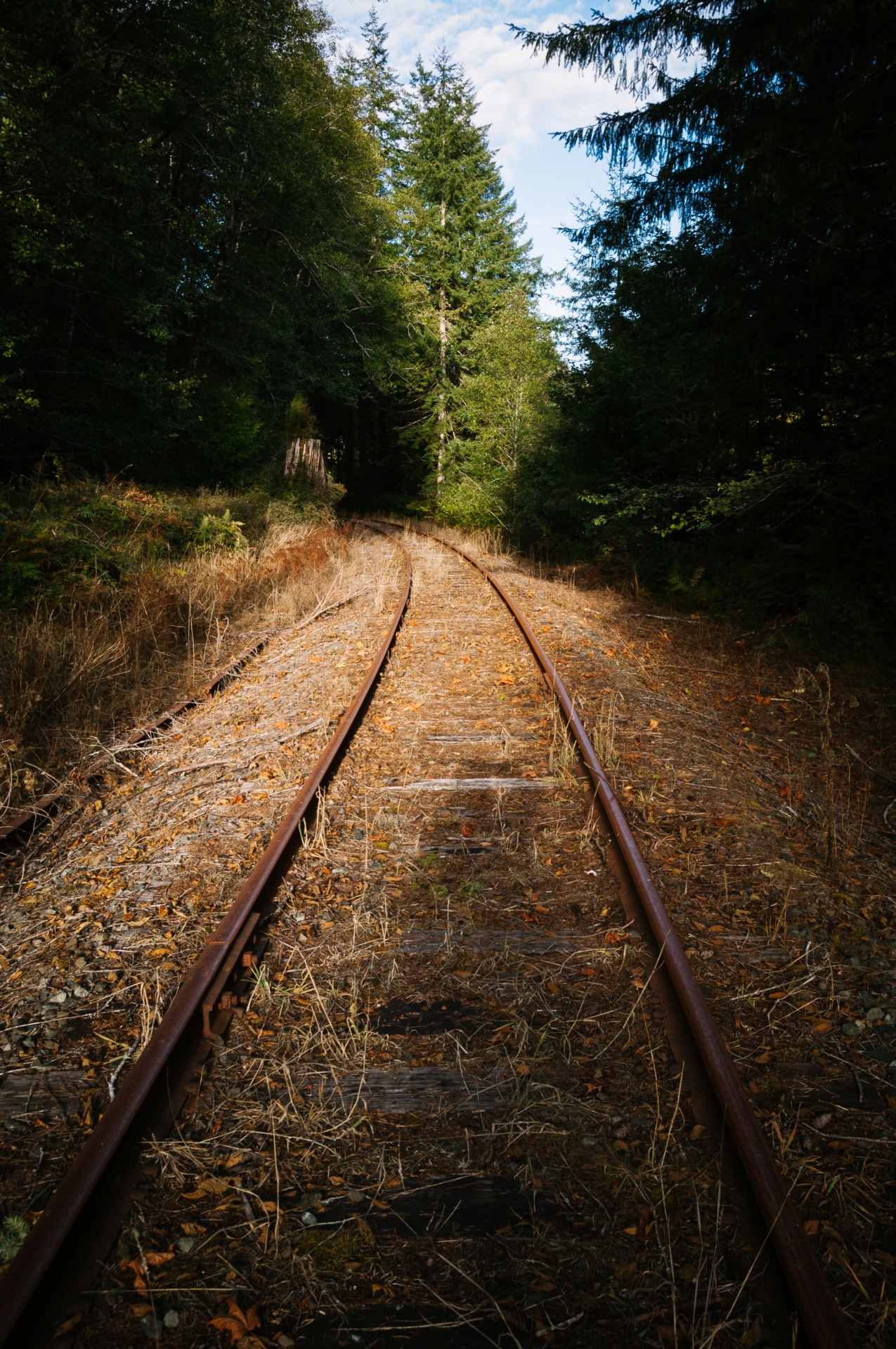 kovthephotographer:  Ghost Railways of Oregon 