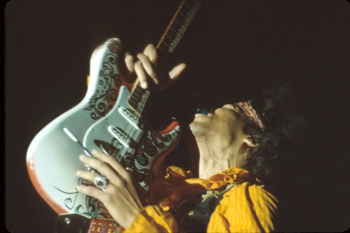 ledzepppelin:47 years ago today, Sunday 18th June 1967, Jimi Hendrix performed at the Monterey Pop F