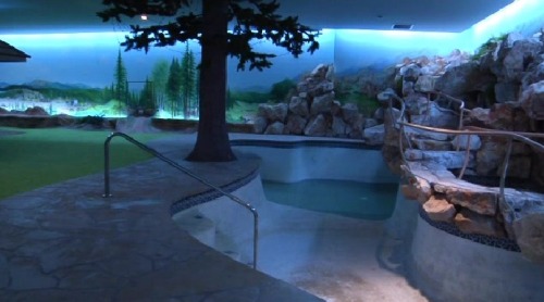 sixpenceee:This cold war era bunker was built 26 feet underground and equipped for a family to live in for a year in the event of a nuclear missile strike. It’s a virtual relic of 1970s suburbia, complete with a “backyard,” swimming pool, two-bedroom