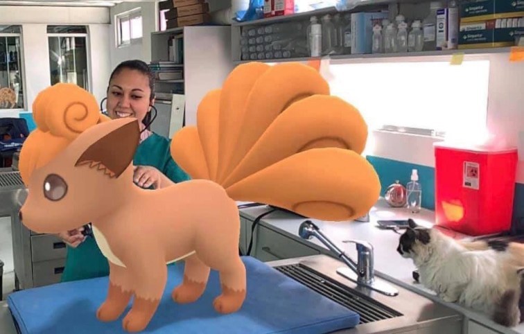 A veterinary hospital in Mexico used Pokemon Go’s snapshot feature to turn their office into a Pokemon Center