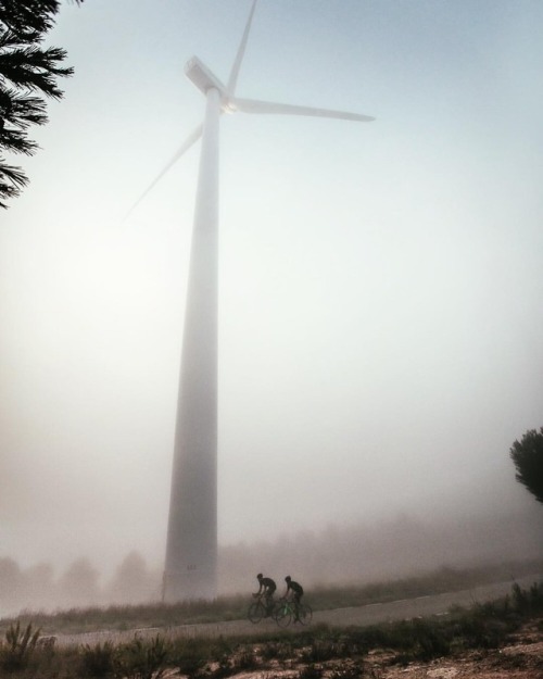 imbrazodehierro: Foggy morning ride. . #brazodehierro #lesmaioles #cyclingculture #cyclincatalunya #