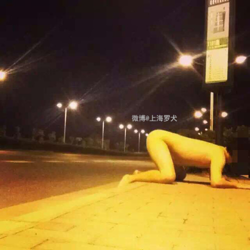 lemonboy520: 今天在车站等主人 虽然有点冷，但还是兴奋的要命！