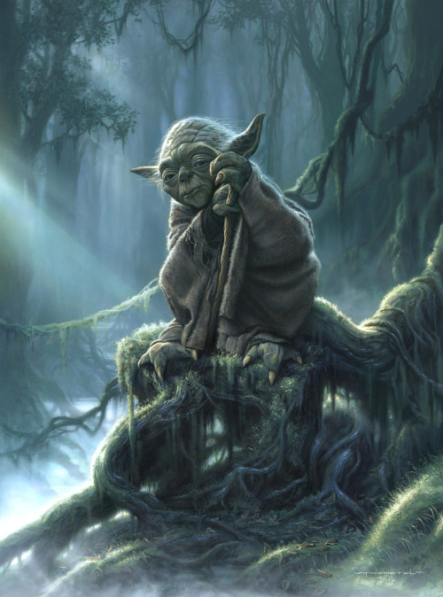 alwaysstarwars:  Another series of beautiful portraits by Jerry Vanderstelt