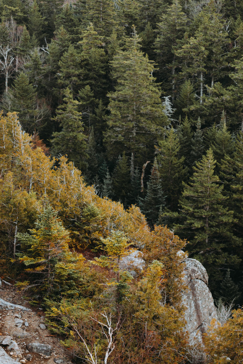 youseethenew:Late Fall in the Adirondacks Part 2 || IG: BToneVibes