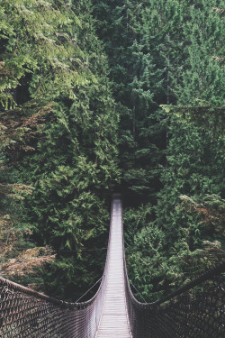 avenuesofinspiration:  Into the Forest |