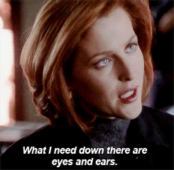 “They’ve got you to thank. And not just for saving their butts.” 