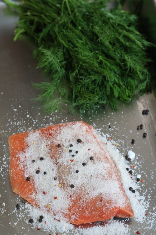 Make your own lox!
