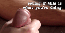 onlybigcockshemales:  Real shemales in your area are looking for sex tonight: http://bit.ly/1G0jnhd