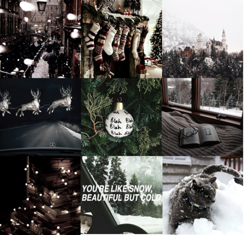 Wintery/Christmas-y Slytherin, Horned Serpent, Capricorn with a Russian Blue Cat aesthetic for anon.