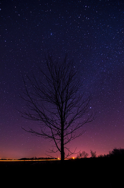 brutalgeneration:  Open Up by colinbooks on Flickr.
