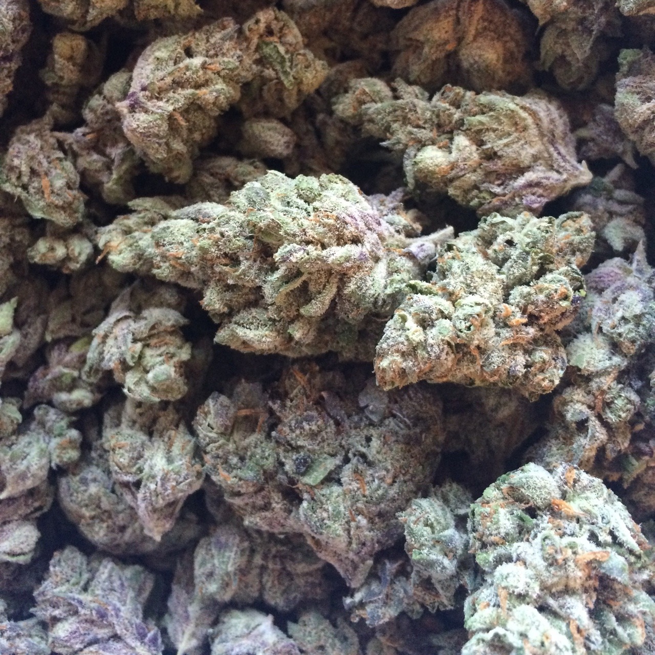 purplengabbana:  Cant get enough of the perfect trim on this LA Con 